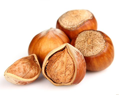 HAZELNUT INSHELL
