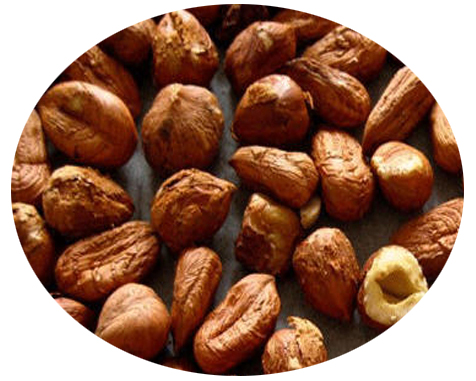 SHRIVELLED HAZELNUT KERNEL